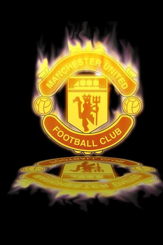 和标准化的 和标准化的